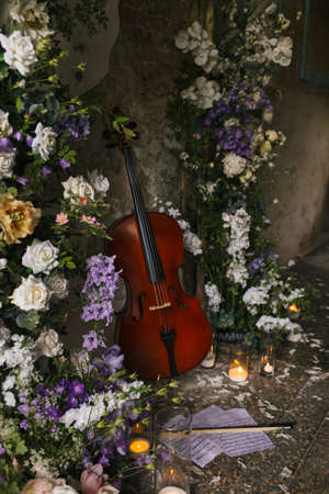 The photo shows a cello on a background of decorated flower arch and vintage wallの写真素材