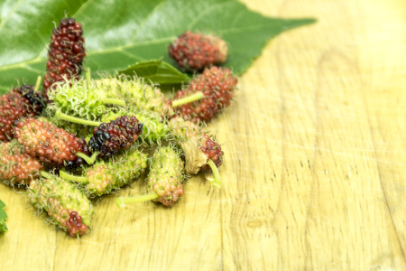 Mulberry berry with leaf on wood background and soft focusの写真素材