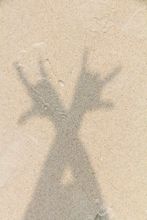 Shadow hand to show me the language.