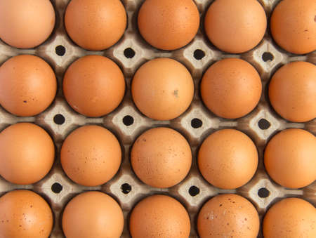 Eggs on the panelの写真素材