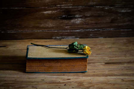 Still life old book rose aboveの写真素材