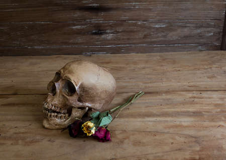 Skull on old wooden floor with a dollar.の写真素材