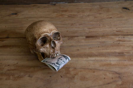 Skull on old wooden floor with a dollar.の写真素材