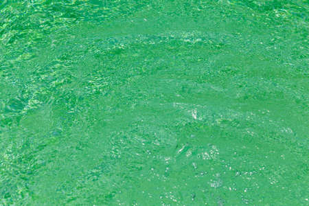 Surface water, the sun was shining beautifully.の写真素材