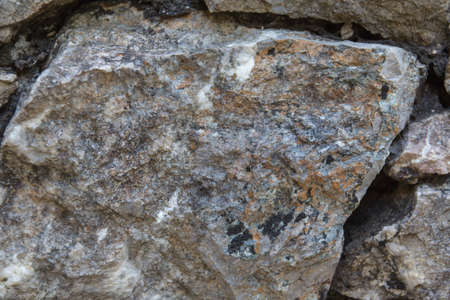 Rocky Mountain Division of the Ramsの写真素材