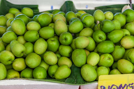 Fresh jujube trees look good enough to eatの写真素材