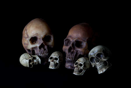 Human skull head on black backgroundの写真素材