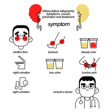 Kidney failure infographic. Symptoms, causes, prevention and treatment.のイラスト素材