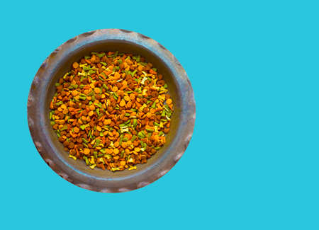 Dog collar chain  and dog food on floorの写真素材