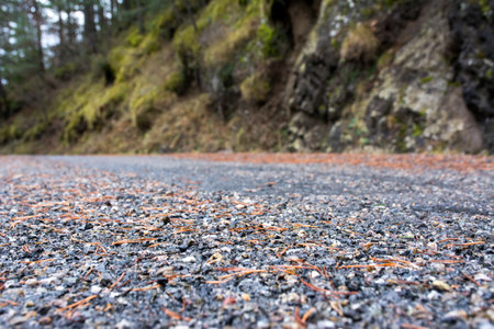 closeup of rural road in the middle of a forest in autumnの写真素材