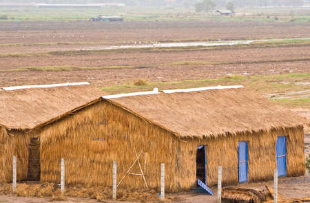 Barns thatched with grass in the middle of the fieldの写真素材