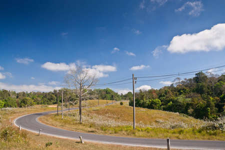 The road curves to the hills above the tropical forest.の写真素材
