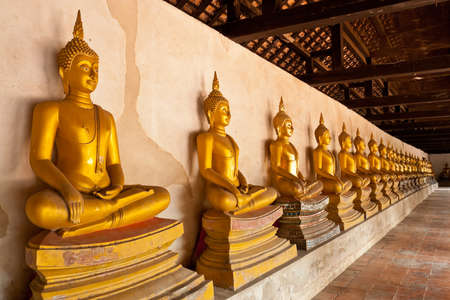 An array of Buddha statues in the old churchの写真素材