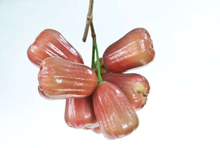 Thai fruits are red and sweet to eat の写真素材