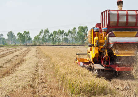 The reaper is harvesting in the fields and crops are ripeのeditorial素材