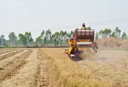 The reaper is harvesting in the fields and crops are ripeのeditorial素材