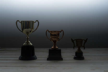 Silhouette of three trpohy with difference size.Success business concept.の写真素材