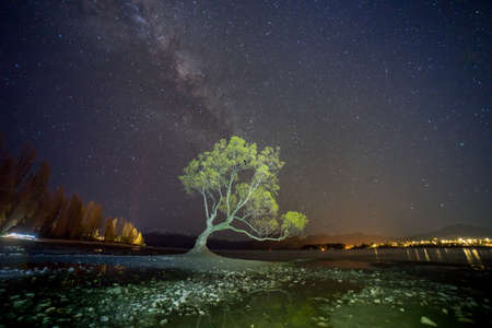 Amazing view of milky way at the Wanaka Lake shore.That Wanaka tree with milky way background.の写真素材