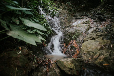 Rainforest waterfall in slow shutter mode.の写真素材