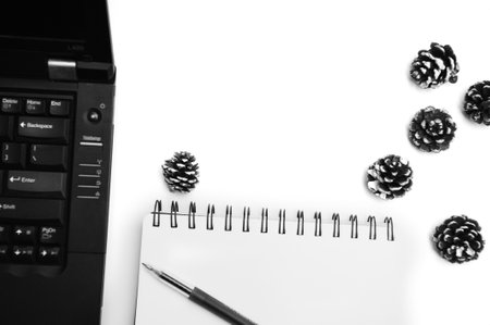 Notebook,spectacle,pinecones,computer keyboard and mouse on white office table.Top with copy space.Flat Lay concept.の写真素材