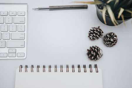 Notebook,spectacle,pinecones,computer keyboard and mouse on white office table.Top with copy space.Flat Lay concept.の写真素材