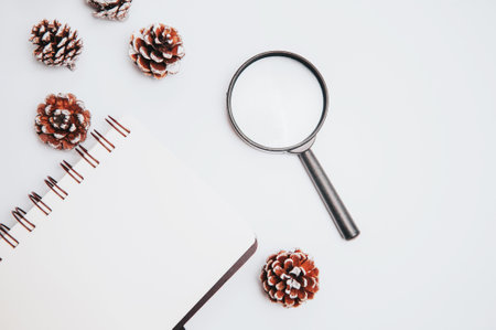 Notebook,spectacle,pinecones,computer keyboard and mouse on white office table.Top with copy space.Flat Lay concept.の写真素材