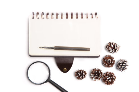 Notebook,spectacle,pinecones,computer keyboard and mouse on white office table.Top with copy space.Flat Lay concept.の写真素材
