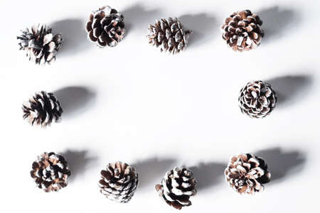 Pinecones isolated over white background.Top view with copy space.Flat lay shot.の写真素材