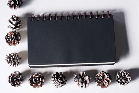 Notebook,pen and pinecones on white office table.Top view with copy space.Flat Lay.の写真素材
