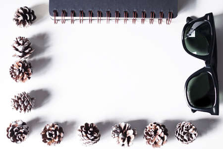 Notebook,pen and pinecones on white office table.Top view with copy space.Flat Lay.の写真素材