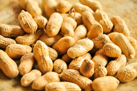 The term bean originally referred to the seed