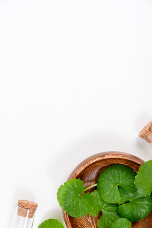 Top view on table green centella asiatica leaves or Gotu kula with isolated on white backgroundの写真素材