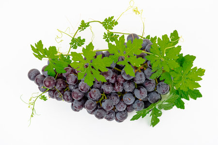 fresh fruit Purple grape Kyoho Grape with leaves isolated on white backgroundの写真素材