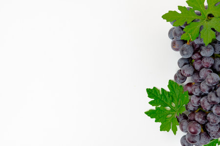 fresh fruit Purple grape Kyoho Grape with leaves isolated on white backgroundの写真素材