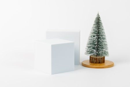 A white box and a small tree are placed on a white background. The box is empty and the tree is small and greenの写真素材
