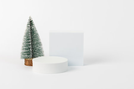 A white box with a green tree in front of it. The white box is empty and the tree is fakeの写真素材