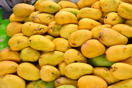 Ripe mango fruit On the ground.の写真素材
