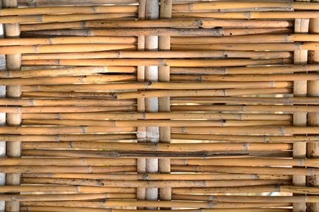 Generic bamboo wall. of Thai house in countryside.の写真素材
