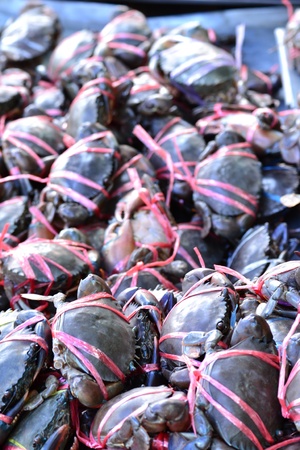 Crabs in the market.の写真素材