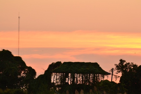 Old abandoned house in the garden,Ayutthaya province.Thailand.の写真素材