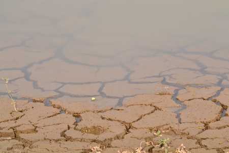 Texture of a drying ground.