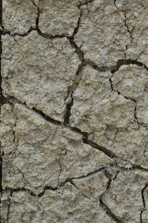 Texture of a drying ground.