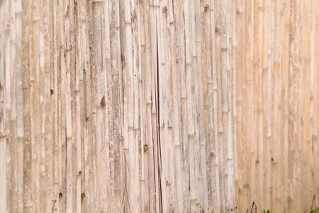 Close up of a bamboo fence from Thailand.の写真素材
