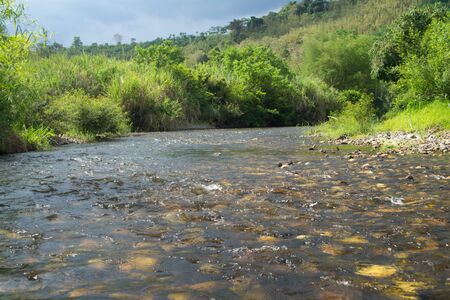 Naturally, both sides are beautiful and clear Water at Phato Canal, Phato District, Chumporn...
