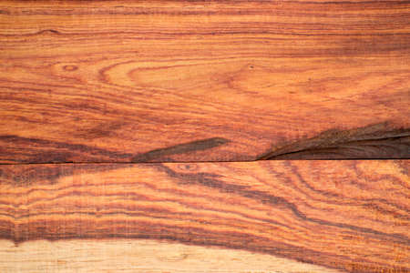 Bright colors of the  heartwood from tropical Thailand.