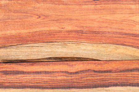 Bright colors of the  heartwood from tropical Thailand.の写真素材