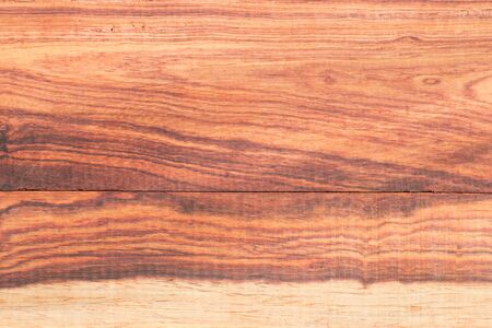 Bright colors of the  heartwood from tropical Thailand.の写真素材