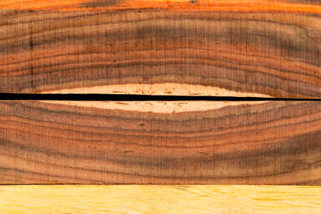 Bright colors of the  heartwood from tropical Thailand.の写真素材
