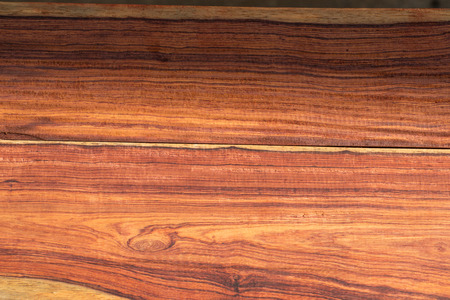 Bright colors of the  heartwood from tropical Thailand.の写真素材