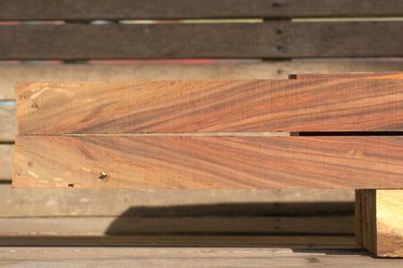 Bright colors of the  heartwood from tropical Thailand.の写真素材